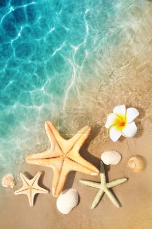 Photo for Starfish, seashell and flower on the summer beach in sea water. Summer background. Summer time. - Royalty Free Image