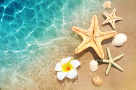 Foto de Estrella de mar, concha y flor en la playa de verano en agua de mar. Fondo de verano. Hora de verano. - Imagen libre de derechos