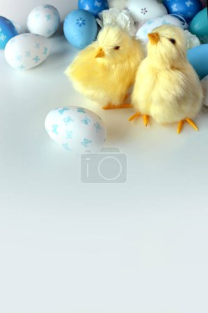 Foto de Colores huevos y polluelos amarillos sobre un fondo azul. Una tarjeta de Pascua con una copia del lugar del texto. Concepto de vacaciones. - Imagen libre de derechos