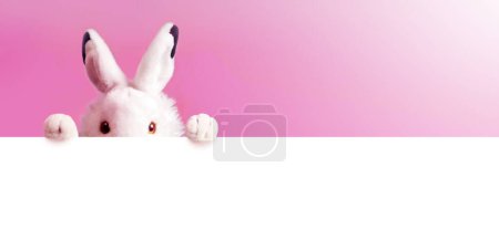 Foto de Conejo de Pascua blanco con hoja para una escritura de texto. Concepto de Pascua. Conejito de Pascua. Concepto de vacaciones. - Imagen libre de derechos