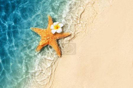 Foto de Estrella de mar y flor en la playa de verano en agua de mar. Fondo de verano. Hora de verano. - Imagen libre de derechos