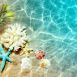 Yellow pineapple, seashells and starfish on a blue water background. Exotic concept.