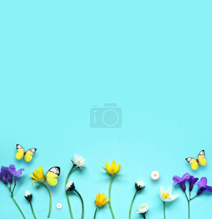 Foto de Set con hermosas flores de pradera y mariposa sobre fondo azul. - Imagen libre de derechos