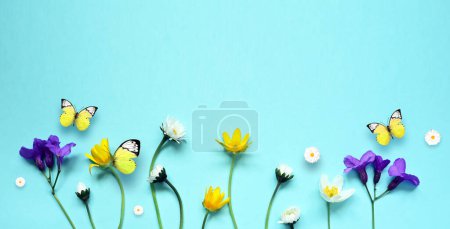 Photo for Set with beautiful meadow flowers and butterfly on blue background. - Royalty Free Image