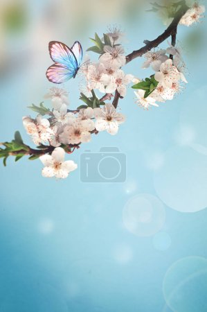Foto de Árbol de flores sobre el fondo de la naturaleza con mariposa. Flores de primavera. Fondo de primavera. Concepto borroso. - Imagen libre de derechos