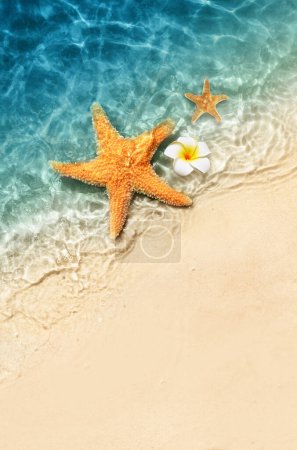 Photo for Starfish and flower on the summer beach in sea water. Summer background. Summer time. - Royalty Free Image