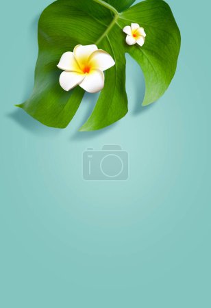 Photo for Summer background design concept. Top view of holiday travel beach with flower plumeria and monstera leaves on blue background. - Royalty Free Image