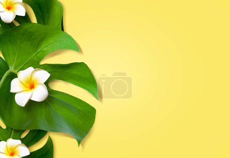 Photo for Summer background design concept. Top view of holiday travel beach with flower plumeria and monstera leaves on yellow background. - Royalty Free Image