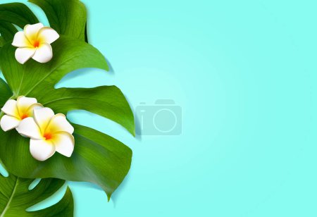 Photo for Summer background design concept. Top view of holiday travel beach with flower plumeria and monstera leaves on blue background. - Royalty Free Image