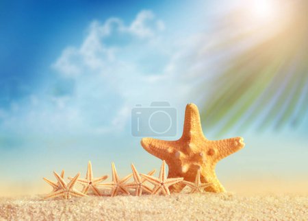 Foto de Estrella de mar y palma en la playa de arena. Hora de verano. Concepto de verano. - Imagen libre de derechos