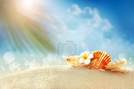 Foto de Seashel y palmera en la playa de arena. Hora de verano. Concepto de verano. - Imagen libre de derechos