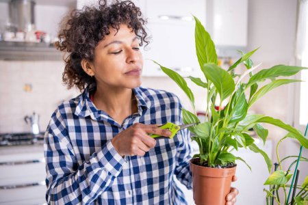Téléchargez les photos : Happy black woman taking care and plant parenting of home plants - en image libre de droit