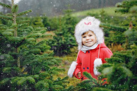 Téléchargez les photos : Adorable petite fille tout-petit avec arbre de Noël sur la plantation de coupe de sapin. Enfant heureux en hiver vêtements de mode choisir, couper et abattre son propre arbre de Noël dans la forêt, tradition familiale en Allemagne. - en image libre de droit