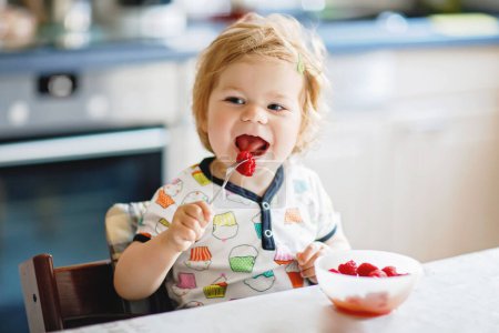 Photo for Adorable baby girl eating from spoon fresh healthy raspberries food, child, feeding and development concept. Cute toddler, daughter with spoon sitting in highchair and learning to eat by itself - Royalty Free Image