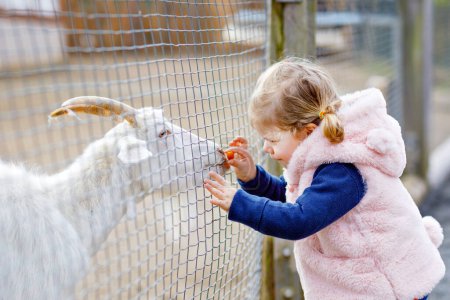 Entzückende niedliche Kleinkind Mädchen füttern kleine Ziegen und Schafe auf einem Kinderbauernhof. Schöne Baby-Streicheltiere im Zoo. Aufgeregtes und glückliches Mädchen am Familienwochenende