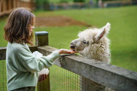 Photo for School european girl feeding fluffy furry alpacas lama. Happy excited child feeds guanaco in a wildlife park. Family leisure and activity for vacations or weekend. - Royalty Free Image