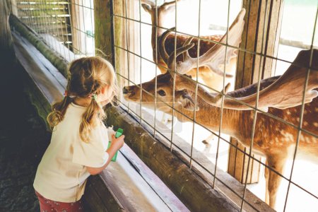 Photo for Adorable cute preschool girl feeding little wild deer in a wild animal forest park. Happy child petting animals on summer day. Excited and happy girl on family weekend, children activity in summe - Royalty Free Image