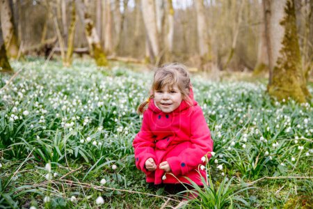 Foto de Cute little girl with first spring flowers snowflakes on sunny day in forest, outdoors. Child with floor covered with leucojum vernum spring flowers. Beautiful family walk - Imagen libre de derechos