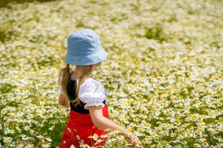 Téléchargez les photos : Little preschool girl in daisy flower field. Cute happy child in red riding hood dress play outdoor on blossom flowering meadow with daisies. Leisure activity in nature with children - en image libre de droit