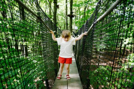 Photo for Cute little preschool girl walking on high tree-canopy trail with wooden walkway ropeways on Hoherodskopf in Germany. Happy active child exploring treetop path. Funny activity for families outdoors. - Royalty Free Image