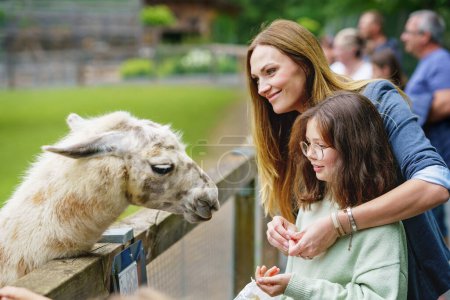 Photo for School european girl and woman feeding fluffy furry alpacas lama. Happy excited child and mother feeds guanaco in a wildlife park. Family leisure and activity for vacations or weekend. - Royalty Free Image