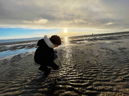 Téléchargez les photos : Cheerful little girl walking and searching shells on beach of North Sea during low tide on cold but sunny spring day - en image libre de droit