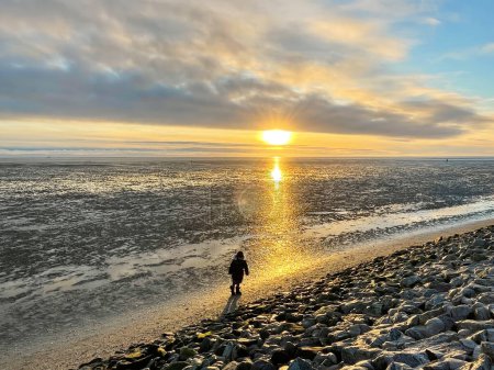 Photo for Cheerful little girl walking and searching shells on beach of North Sea during low tide on cold but sunny spring day - Royalty Free Image