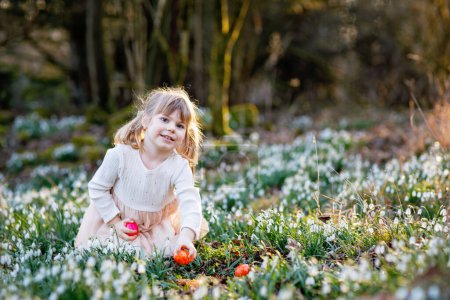Téléchargez les photos : Petite fille faisant la chasse aux œufs de Pâques dans la forêt de printemps par une journée ensoleillée, à l'extérieur. Mignon enfant heureux avec beaucoup de fleurs de chute de neige et des œufs colorés. Printemps, concept de vacances chrétiennes - en image libre de droit