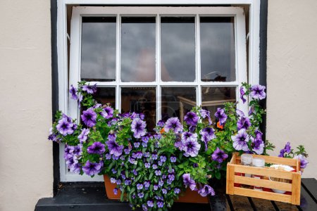 Téléchargez les photos : Rues impressionnantes et colorées de Clifden, Connemara, Irlande. Maisons colorées, fenêtres avec des fleurs - en image libre de droit