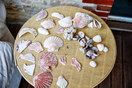 Photo for Many different seashells on a table. Shells, clams, mussels from Atlantic ocean. - Royalty Free Image