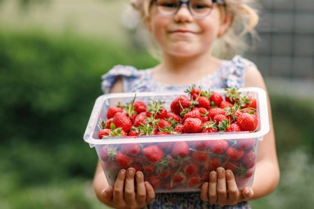Photo for Happy preschool girl holding box with healthy strawberries from organic berry farm in summer, on sunny day. Smiling child. Kid with fresh ripe red berries, eats strawberry - Royalty Free Image