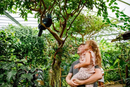Photo for Father with small daughter, cute preschool girl watching birds. Happy family, man and little child in birds observatory, looking on western crowned pigeon bird. Family weekend activity. - Royalty Free Image