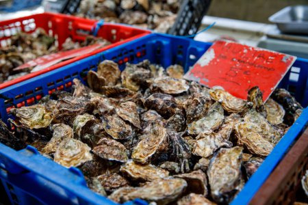 Téléchargez les photos : Une scène de marché fermier dynamique en Normandie avec des huîtres fraîches sur des lits de glace, capturant le charme côtier des régions et les traditions culinaires - en image libre de droit