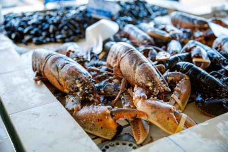 Photo for Fresh lobsters and seafood on french farmer market in Normandy, France - Royalty Free Image