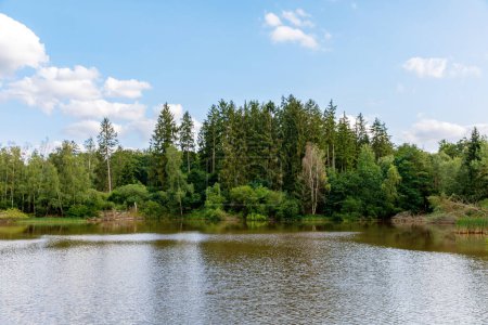 Téléchargez les photos : Étang de truites avec forêt autour de la colline Hoherodskopf en Hesse, région Vogelsberg en Allemagne. - en image libre de droit