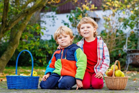 Foto de Dos niños adorables comiendo manzanas en el jardín de casas, al aire libre. Propia cosecha. Niños en edad preescolar, lindos hermanos y gemelos cosechando frutas en el día de otoño. - Imagen libre de derechos