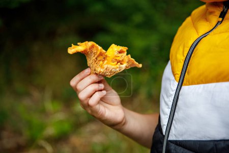 Téléchargez les photos : Un garçon précoce cueille le champignon comestible lors d'une promenade dans la forêt. Enfant et nature. Gros plan de la main - en image libre de droit