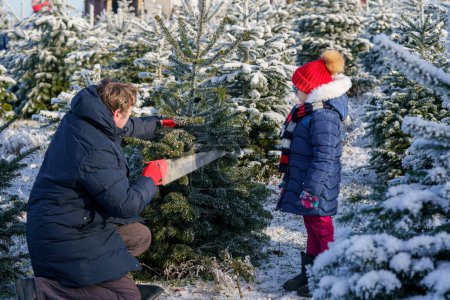 Photo for Happy little girl and dad felling Christmas tree. Preschool child with father, young man on fir cutting plantation. Family choose, cut and fell own xmas tree in forest. Germany tradition. - Royalty Free Image
