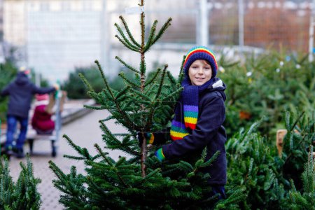 Téléchargez les photos : Adorable petit garçon souriant tenant un arbre de Noël sur le marché. Heureux enfant en bonne santé dans les vêtements de mode d'hiver choisir et acheter grand arbre de Noël dans la boutique en plein air. Famille, tradition, célébration - en image libre de droit