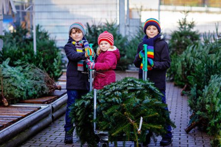 Photo for Three little siblings: toddler girl and two kids boys holding Christmas tree on market. Happy children in winter clothes choosing and buying tree in outdoor shop. Family, tradition, celebration. - Royalty Free Image
