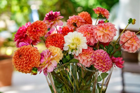 Foto de Diferentes flores Dahlia rosas, naranjas y blancas en un jarrón con jardín de otoño en el fondo. Coloridas flores de jardín de dalia, fondo de pantalla. Florecimiento dalias floración. - Imagen libre de derechos