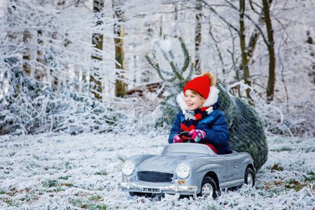 Téléchargez les photos : Heureuse petite fille souriante conduisant une voiture jouet avec arbre de Noël. Drôle d'enfant d'âge préscolaire en vêtements d'hiver apportant arbre de Noël taillé de forêt enneigée. Famille, tradition, vacances - en image libre de droit