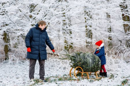 Photo for Happy little girl and dad pushing Christmas tree on sleigh. Preschool child with father, young man on fir cutting plantation. Family choose, cut and fell own xmas tree in forest. Germany tradition, - Royalty Free Image
