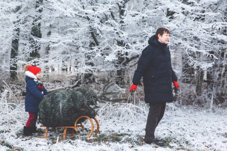 Photo for Happy little girl and dad pushing Christmas tree on sleigh. Preschool child with father, young man on fir cutting plantation. Family choose, cut and fell own xmas tree in forest. Germany tradition, - Royalty Free Image