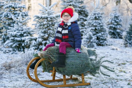 Photo for Happy little girl sitting on Christmas tree on sleigh. Cute preschool child on fir tree cutting plantation. Family choosing, cut and felling own xmas tree in forest, family tradition in Germany. - Royalty Free Image