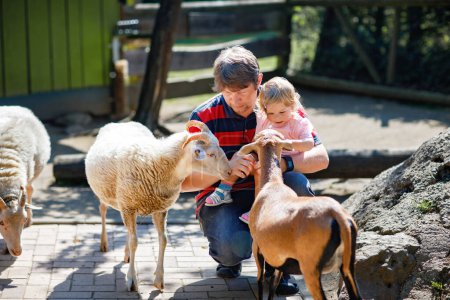 Foto de Adorable niña linda y padre joven alimentando cabras y ovejas en una granja de niños. Hermoso bebé acariciando animales en zoológico de mascotas. hombre e hija juntos en vacaciones de fin de semana familiares - Imagen libre de derechos