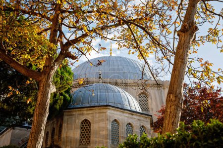 Foto de Museo Ayasofya, Santa Sofía en el parque Sultan Ahmet en Estambul, Turquía en un hermoso día de otoño. Arquitectura bizantina, monumento de la ciudad y maravilla del mundo arquitectónico. - Imagen libre de derechos