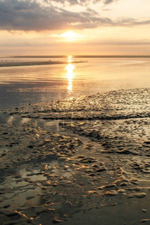 Photo for Wattenmeer, mud tideland in North Sea, Germany. Nordsee, Watt by sunset - Royalty Free Image