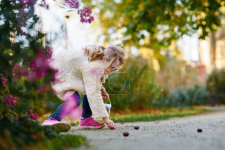 Téléchargez les photos : Joyeux enfant d'âge préscolaire cueillant des châtaignes dans un parc le jour de l'automne. Joyeux écolier qui s'amuse à chercher châtaignier et feuillage. Activités automnales avec enfants - en image libre de droit