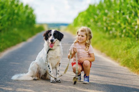 Téléchargez les photos : Jolie petite fille d'âge préscolaire qui va se promener avec un chien de famille dans la nature. Joyeux enfant souriant s'amuser avec chien, courir et étreindre. Joyeux famille à l'extérieur. Amitié et amour entre animaux et enfants. - en image libre de droit